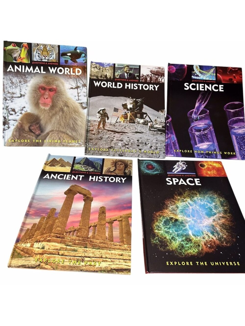 Arcturus Questions & Answers Lot 5 Hardcover Books Science History Animals Kids